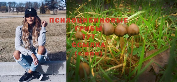 Альфа ПВП Богородск