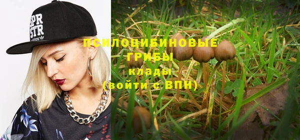 трава Бронницы